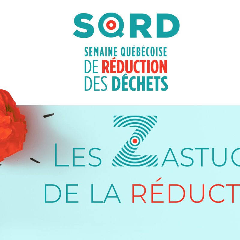 (Français) Découvrez les Z’astuces de la réduction de la SQRD