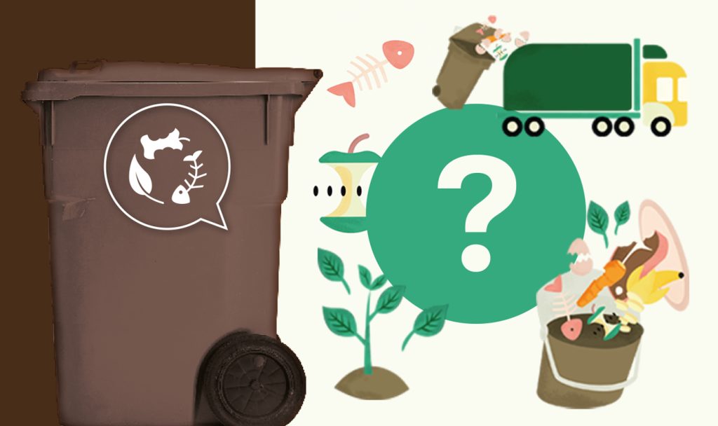 Quoi mettre dans le bac brun ?