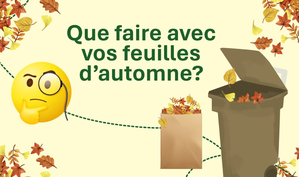 Que faire avec vos feuilles d’automne ?