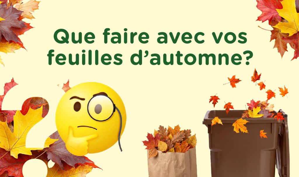 Que faire avec vos feuilles d’automne ?