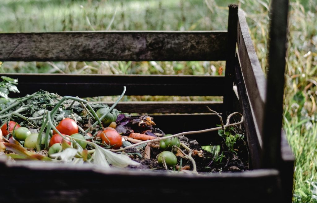 Matières organiques