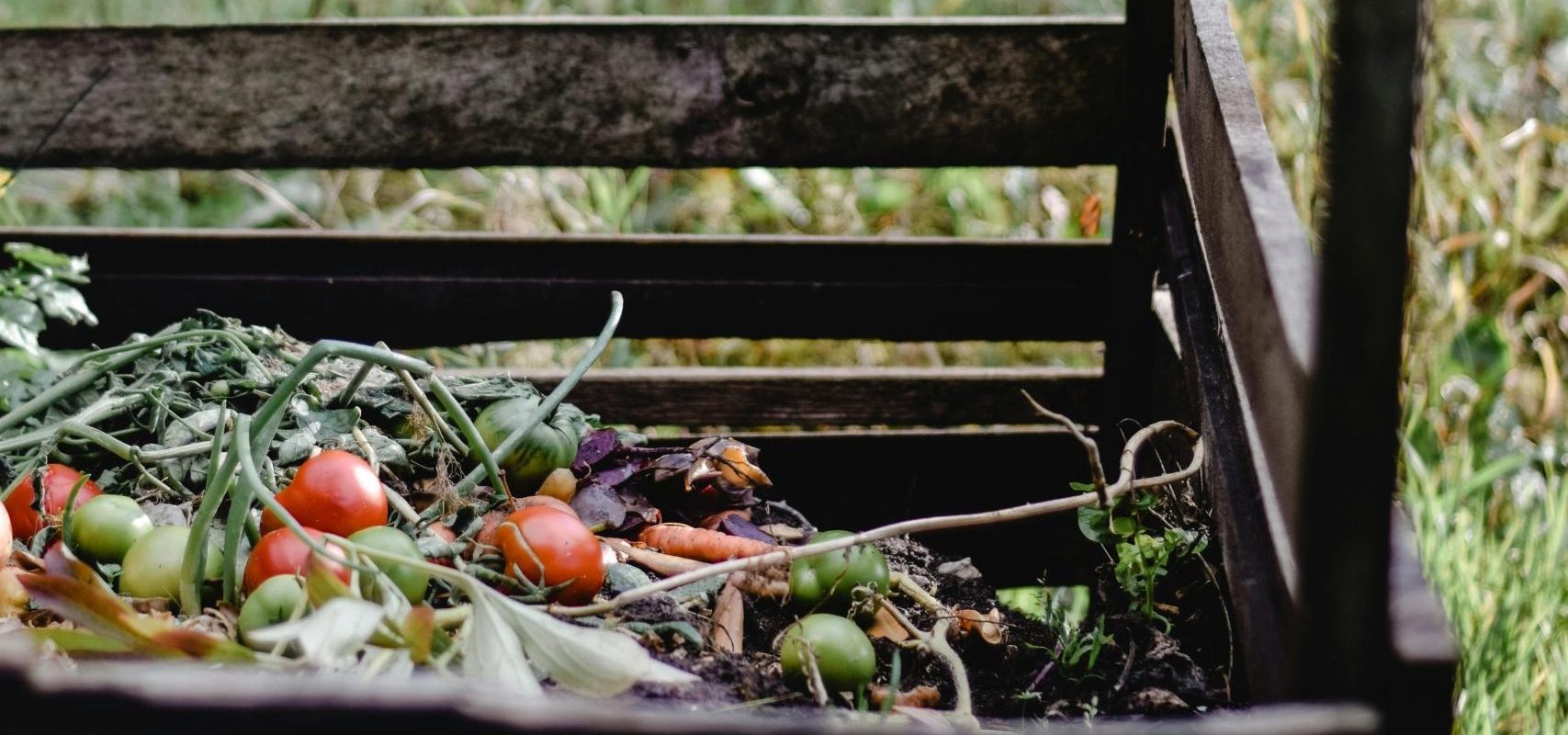 (Français) Matières organiques