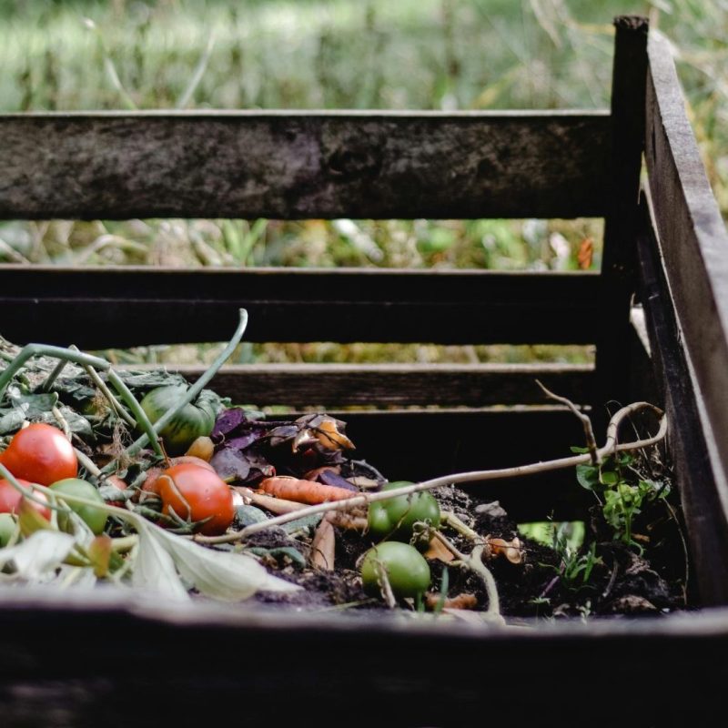 (Français) Matières organiques