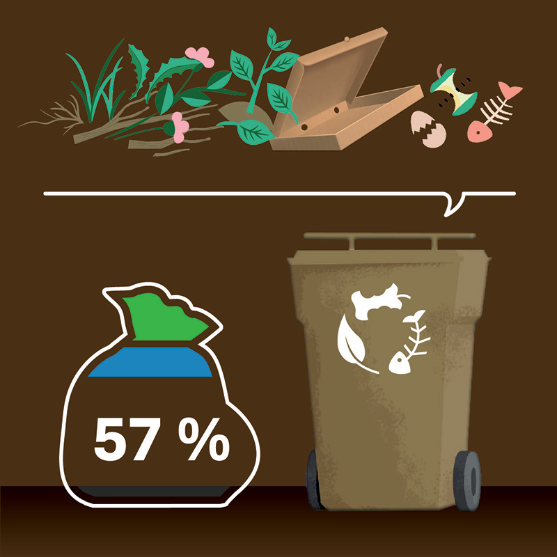 Les matières organiques : plus de la moitié de nos déchets