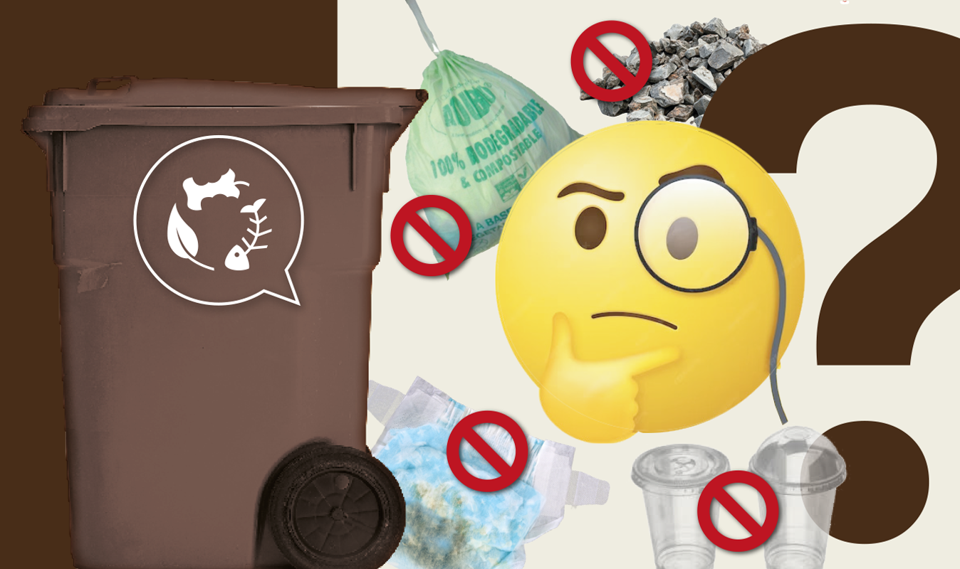 (Français) Sacs de plastiques compostables, plantes, couches… tout ça va dans le bac brun? Pas si vite!